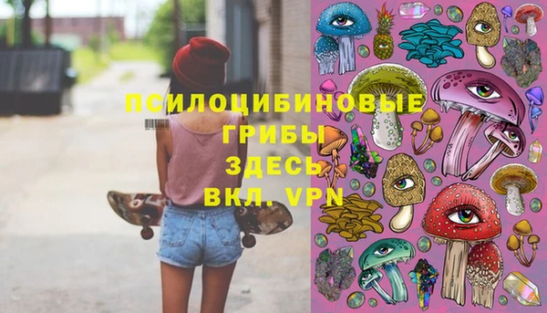 марки lsd Ельня