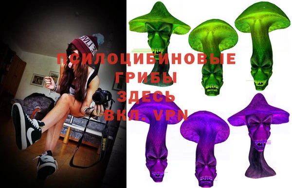 марки lsd Ельня