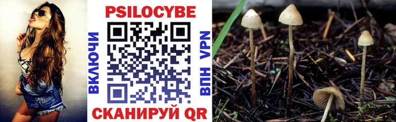 Галлюциногенные грибы Psilocybine cubensis  Рубцовск 